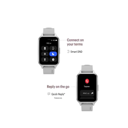 Noise ColorFit Brio Smartwatch  (Grey Strap, Regular)